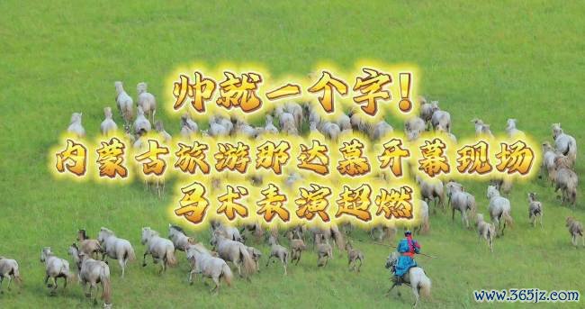 那达慕赛马现场出现真“马尾”