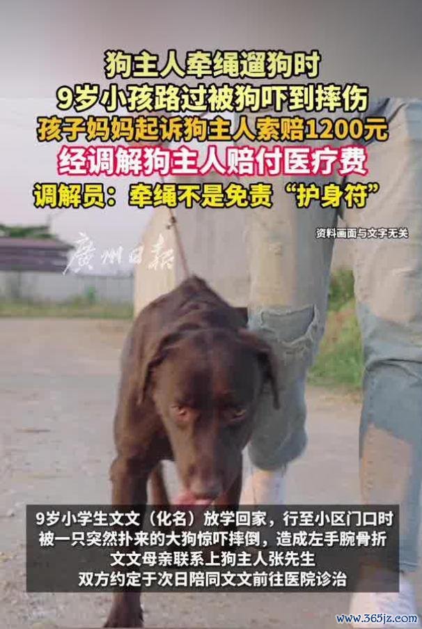 狗主人牵绳遛狗时，9岁小孩路过被吓到摔伤骨折，家长起诉索赔1200元