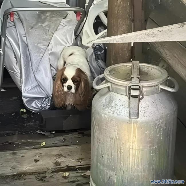 俄选美小姐遭肢解抛尸 男友被通缉 监控记录抛尸过程