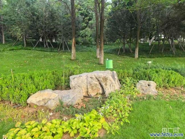 灭蚊“黑科技”解锁市民游园自由 无蚊公园提升幸福感