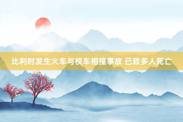 比利时发生火车与校车相撞事故 已致多人死亡