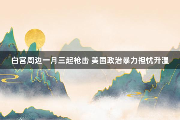 白宫周边一月三起枪击 美国政治暴力担忧升温