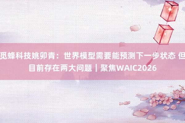 觅蜂科技姚卯青：世界模型需要能预测下一步状态 但目前存在两大问题｜聚焦WAIC2026