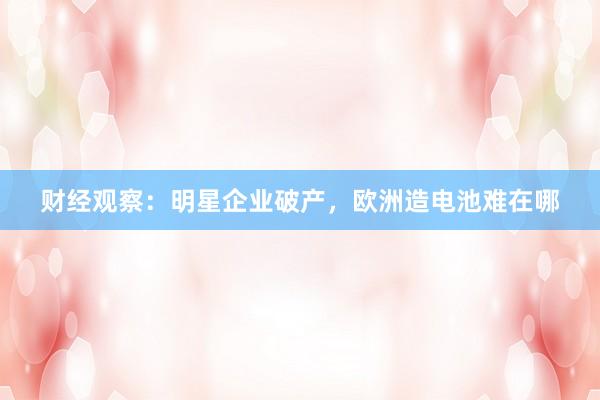 财经观察：明星企业破产，欧洲造电池难在哪