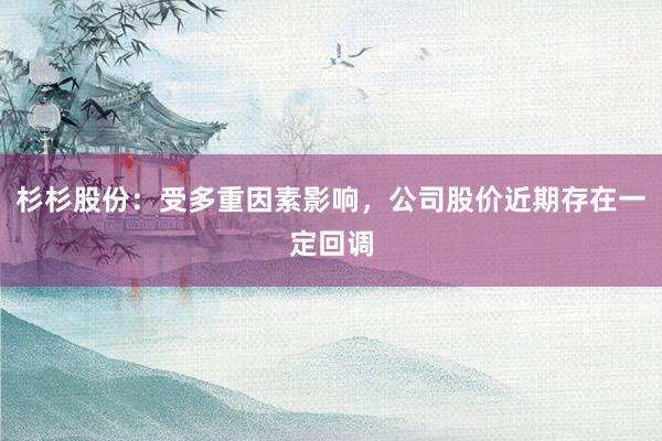 杉杉股份：受多重因素影响，公司股价近期存在一定回调