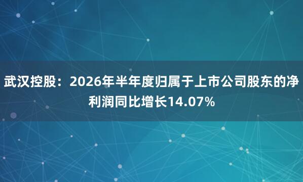 武汉控股：2026年半年度归属于上市公司股东的净利润同比增长14.07%
