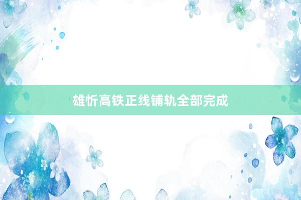 雄忻高铁正线铺轨全部完成