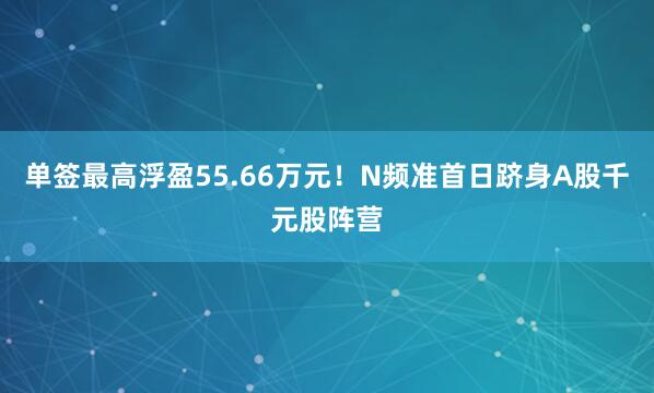单签最高浮盈55.66万元！N频准首日跻身A股千元股阵营