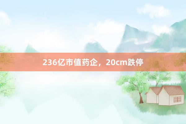 236亿市值药企，20cm跌停