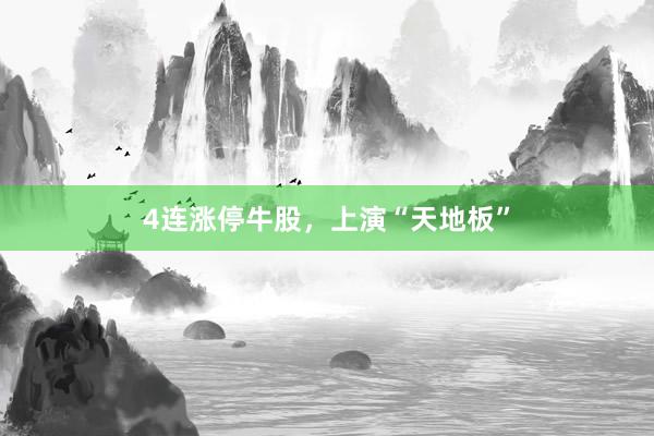 4连涨停牛股，上演“天地板”