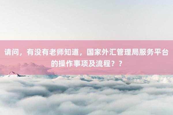 请问，有没有老师知道，国家外汇管理局服务平台的操作事项及流程？？