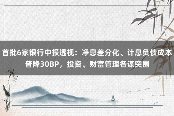 首批6家银行中报透视：净息差分化、计息负债成本普降30BP，投资、财富管理各谋突围