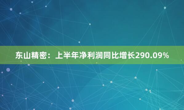 东山精密：上半年净利润同比增长290.09%