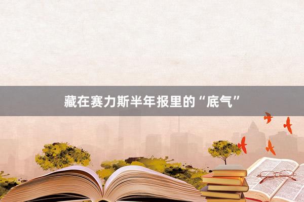 藏在赛力斯半年报里的“底气”