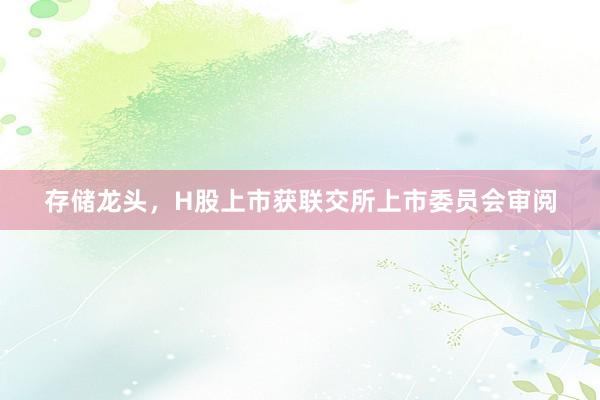存储龙头，H股上市获联交所上市委员会审阅