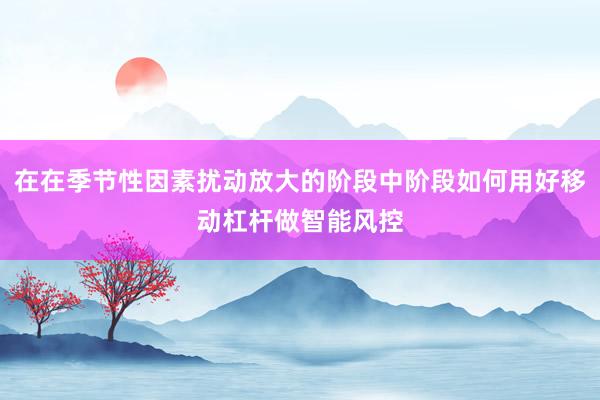 在在季节性因素扰动放大的阶段中阶段如何用好移动杠杆做智能风控