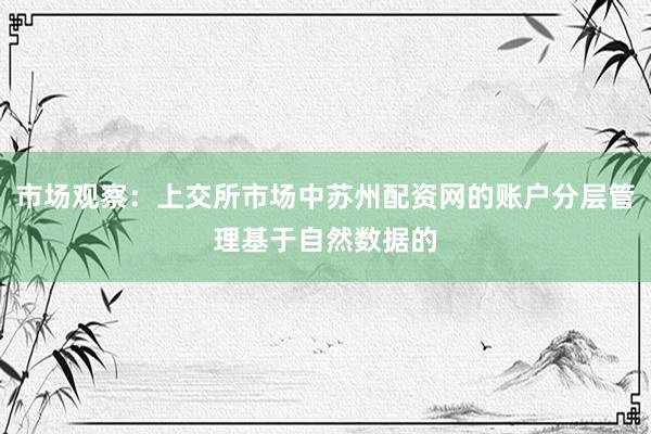 市场观察：上交所市场中苏州配资网的账户分层管理基于自然数据的