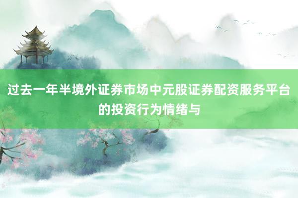 过去一年半境外证券市场中元股证券配资服务平台的投资行为情绪与