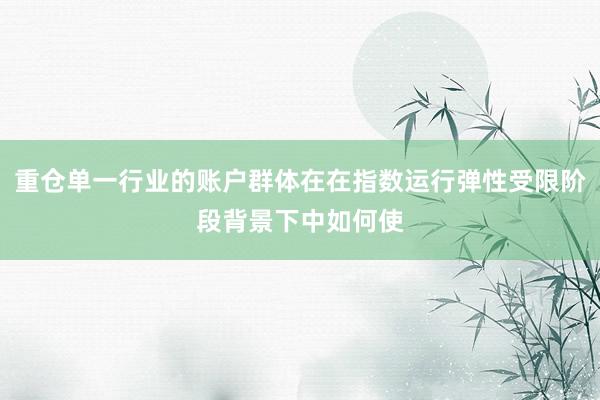 重仓单一行业的账户群体在在指数运行弹性受限阶段背景下中如何使