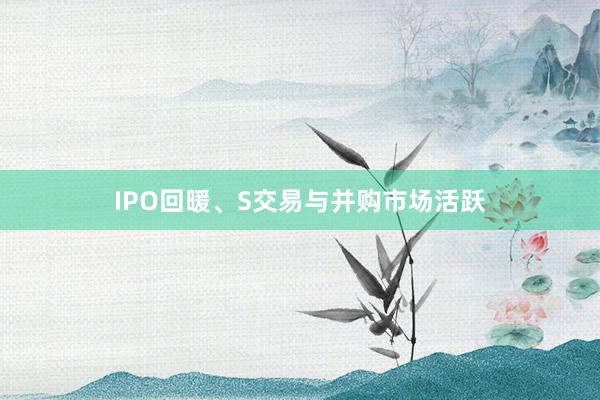 IPO回暖、S交易与并购市场活跃