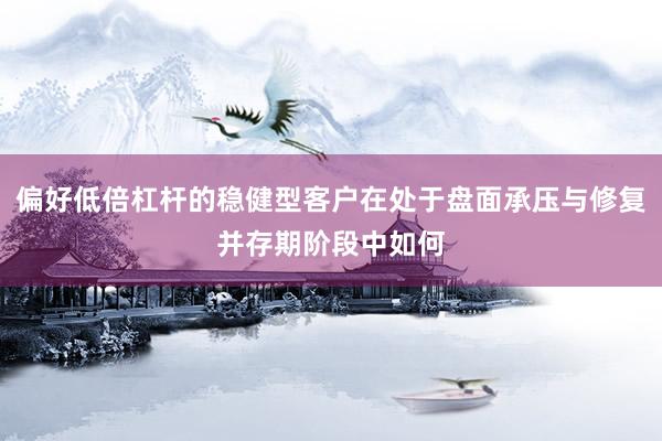 偏好低倍杠杆的稳健型客户在处于盘面承压与修复并存期阶段中如何
