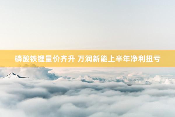 磷酸铁锂量价齐升 万润新能上半年净利扭亏