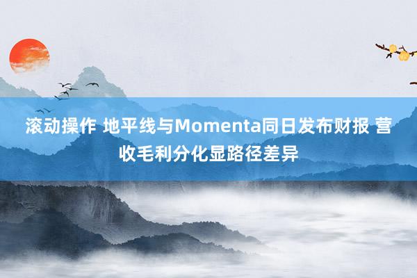 滚动操作 地平线与Momenta同日发布财报 营收毛利分化显路径差异