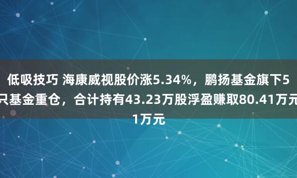 低吸技巧 海康威视股价涨5.34%，鹏扬基金旗下5只基金重仓，合计持有43.23万股浮盈赚取80.41万元