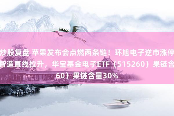 炒股复盘 苹果发布会点燃两条链！环旭电子逆市涨停，领益智造直线拉升，华宝基金电子ETF（515260）果链含量30%
