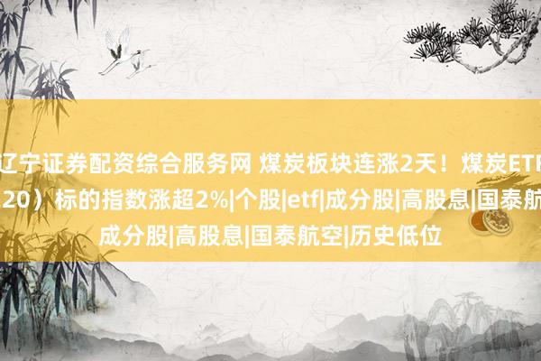 辽宁证券配资综合服务网 煤炭板块连涨2天!煤炭ETF国泰(515220)标的指数涨超2%|个股|etf|成分股|高股息|国泰航空|历史低位