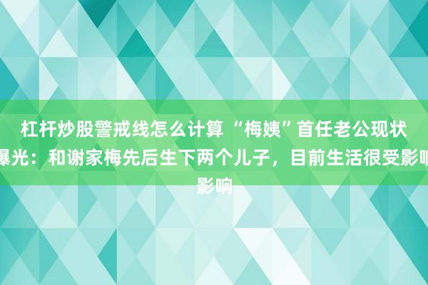 杠杆炒股警戒线怎么计算 “梅姨”首任老公现状曝光：和谢家梅先后生下两个儿子，目前生活很受影响