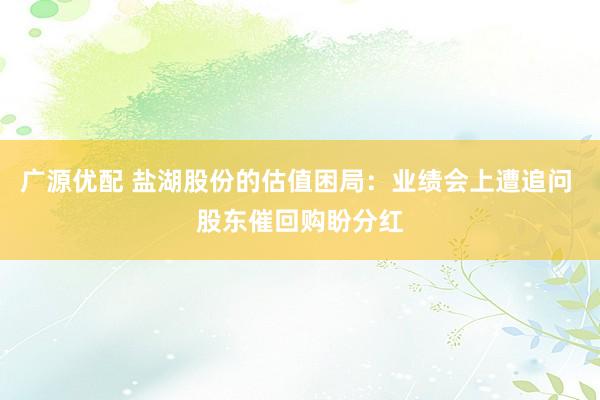 广源优配 盐湖股份的估值困局：业绩会上遭追问 股东催回购盼分红
