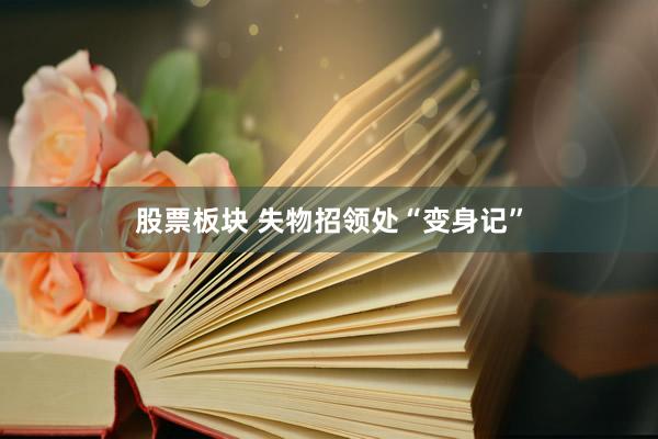 股票板块 失物招领处“变身记”