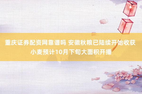 重庆证券配资网靠谱吗 安徽秋粮已陆续开始收获 小麦预计10月下旬大面积开播