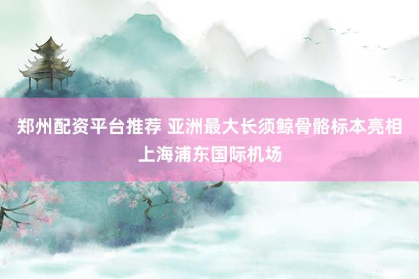郑州配资平台推荐 亚洲最大长须鲸骨骼标本亮相上海浦东国际机场