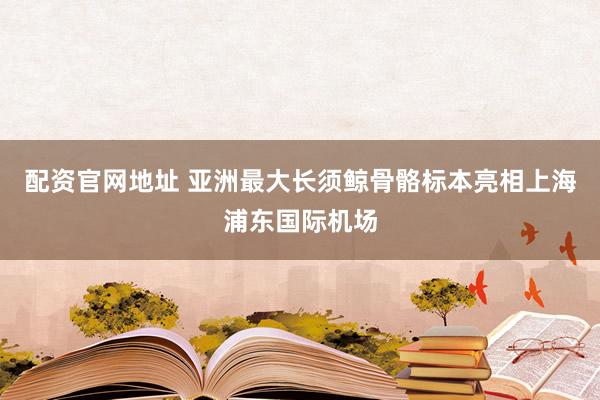 配资官网地址 亚洲最大长须鲸骨骼标本亮相上海浦东国际机场