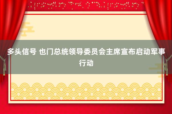 多头信号 也门总统领导委员会主席宣布启动军事行动