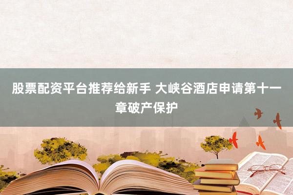 股票配资平台推荐给新手 大峡谷酒店申请第十一章破产保护